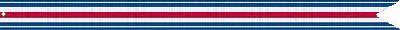 Valorous Unit Commendation Ribbon #155
